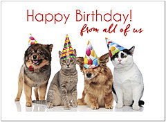 Party Pets Birthday Card D1465U-X