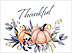 Thankful Pumpkin Thanksgiving Card H1683U-A