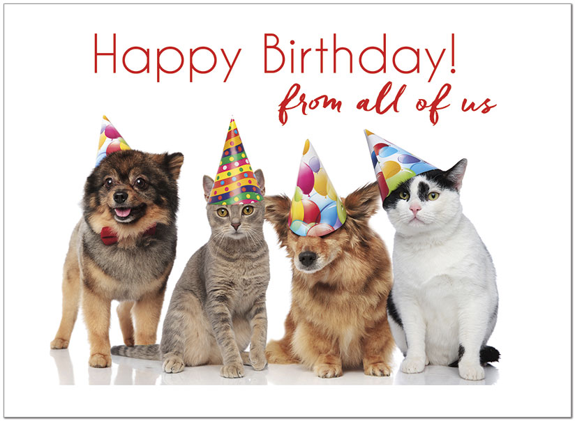 2000+ cute animal happy birthday images với các lời chúc sinh nhật đầy yêu thương