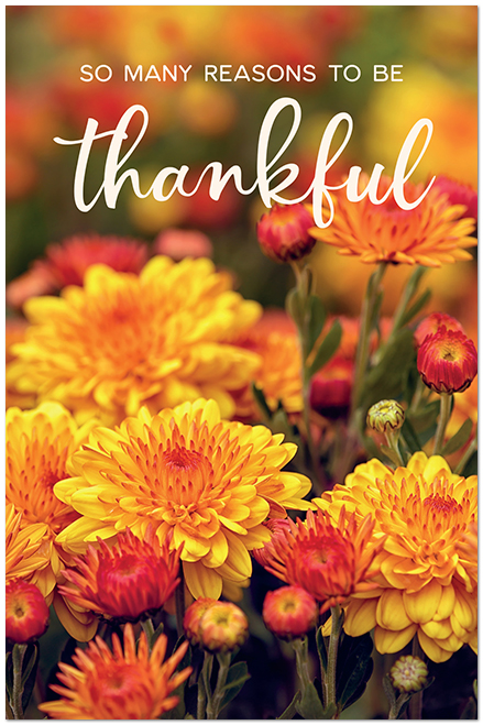 Thankful Flowers Postcard D2782P-BB