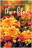 Thankful Flowers Postcard D2782P-BB