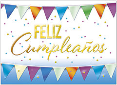 Feliz Cumpleaños Banner D2917U-Y