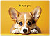 Custom Puppy Meme Card D2963D-V