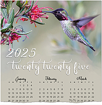 Hummingbird Flight Calendar Card C2791U-AA