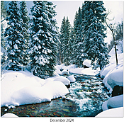 Scenic Seasons Wall Calendar DWM1025