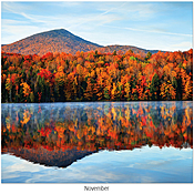 Scenic Seasons Wall Calendar DWM1025