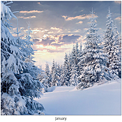 Scenic Seasons Wall Calendar DWM1025