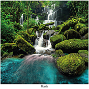 Scenic Seasons Wall Calendar DWM1025