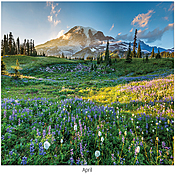 Scenic Seasons Wall Calendar DWM1025